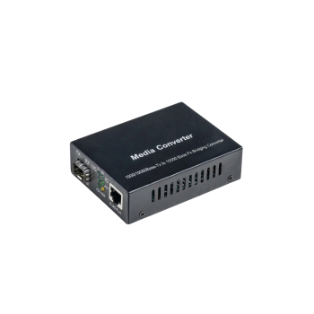 10G Media Converter